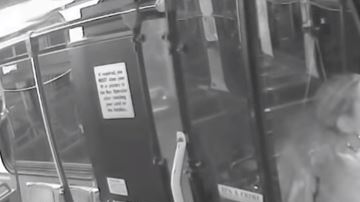 Chofer autobús indigente