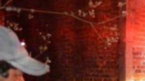 Tres muertos y 10 lesionados fue el saldo de la balacera