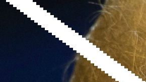 Otra ciudad que le cierra las puerta a ICE