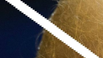 Otra ciudad que le cierra las puerta a ICE