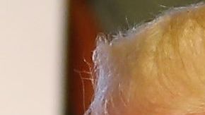 El presidente Donald Trump tuvo respuesta del primer ministro Imran Khan.