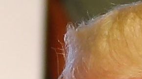 El presidente Donald Trump tuvo respuesta del primer ministro Imran Khan.