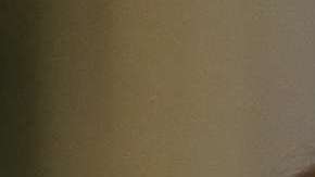 El presidente Trump dijo que perdonaría a su exjefe de campaña.