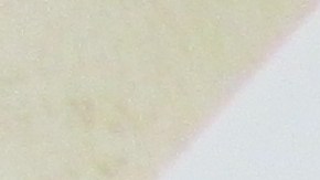 Margarita Hernández recibió su permiso de trabajo y su visa U, que se entrega a las víctimas de crimen. (Araceli Martínez/La Opinión).