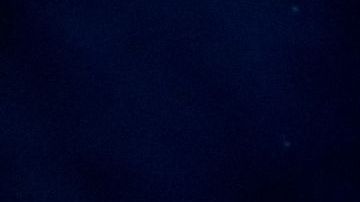 Christiani Pitts encabeza el elenco