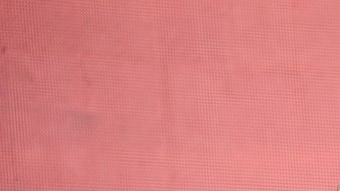 2018 Global Citizen Festival: Be The Generation - Show