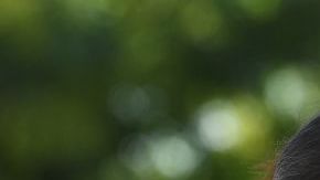 Deb Haaland ganó en Nuevo México.  MARK RALSTON/AFP/Getty Images