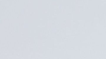 Presidente Donald Trump.