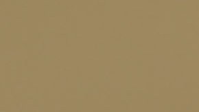 En su segundo año de gobierno Trump realizó 16.5 comentarios falsos al día