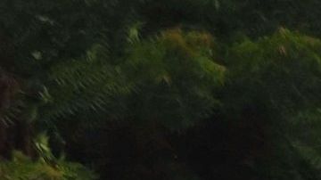 Una hondureña argumenta sobre los motivos de querer llegar a EU. Al fondo, una abogada de EU da información de asilo.