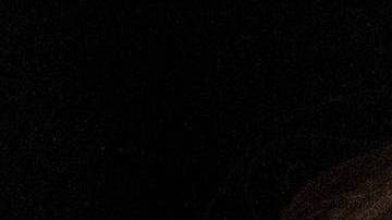 Michelle dijo que la sensación de ser acosada de Melania es una distracción de su labor