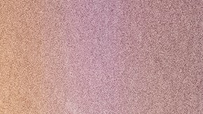 La policía de Tallahassee investiga el tiroteo.