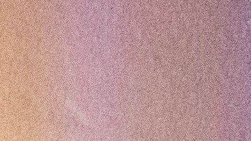 La policía de Tallahassee investiga el tiroteo.