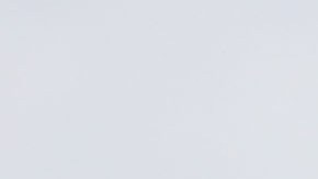 Cam Newton y los Panthers se están divirtiendo en esta campaña.