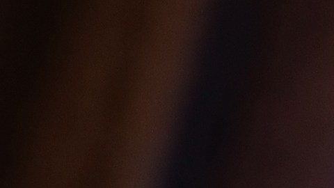El senador republicano Ted Cruz gana las elecciones en Texas.