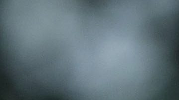 El presidente Donald Trump.