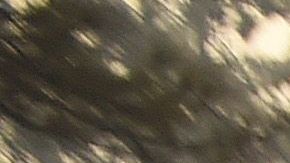 La ciudad de Paradise quedó destruida en el Camp Fire.