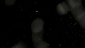 Chan Sung Jung al ser noqueado por Yair Rodríguez en UFC.