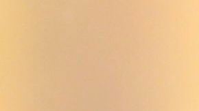 Arboles de navidad color rojo se tomaron la Casa Blanca