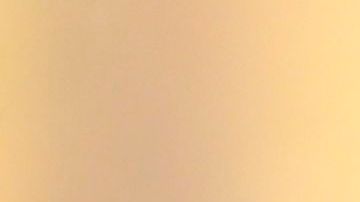 Arboles de navidad color rojo se tomaron la Casa Blanca