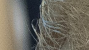 La salida de John Kelly y Kirstjen Nielsen estarían listas