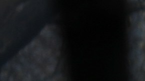 Un trabajador de rescate y su perro entrenado buscan restos humanos en Paradise, el 16 de noviembre de 2018.