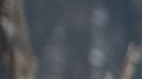 El presidente Trump y la alcaldesa de Paradise Jody Jones.