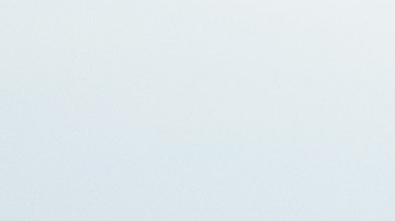 Trump dijo que rastrillar el suelo del bosque sería la solución