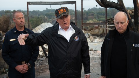 Trump dijo que rastrillar el suelo del bosque sería la solución