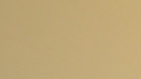 Solo puede estar bajo custodia de la policía japonesa por 20 días