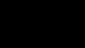 De ganar los demócratas Trump sufriría una fuerte derrota política