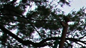 AMLO quiere convertir la residencia presidencial en un centro cultural