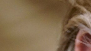 Por su parte Trump sigue arremetiendo contra inmigrantes que buscan ayuda