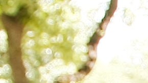 Los autos eléctricos minimizan los daños al medio ambiente.