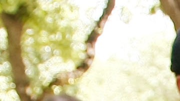 Los autos eléctricos minimizan los daños al medio ambiente.