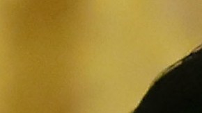 la Orden del Águila Azteca es la condecoración más alta a extranjeros