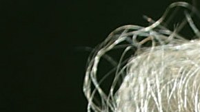 La última vez que Arizona tuvo un senador demócrata fue en 1988.