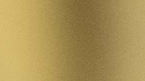 Ricardel habría filtrado historias negativas de Melania a los medios