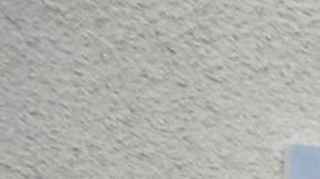 El buen servicio no es una prioridad para el Departamento