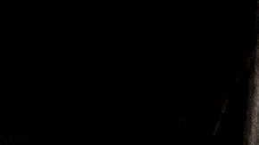 Melania llama a votar por los republicanos y en contra de los demócratas y medios de comunicación