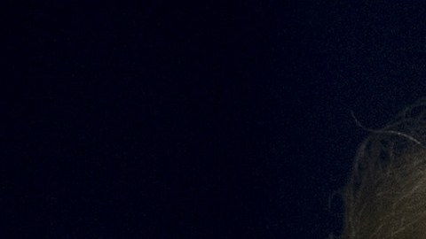 Trump no tardó en contraatacar a Michelle Obama