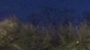 ICE deberá liberar bajo supervisión a los inmigrantes.