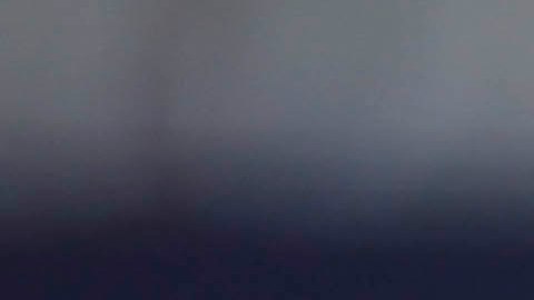 Zlatan Ibrahimovic