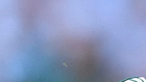 Javier 'Chicharito' Hernández sigue levantando polémica con sus declaraciones.