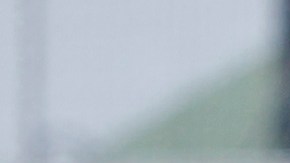 Personal de la COFECE visitó las instalaciones del Club América