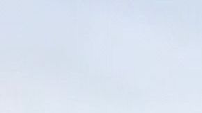 Grupo migrante cruzando territorio mexicano en ruta a EEUU