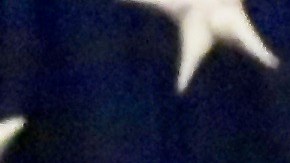 La líder de la minoria demócrata en la Cámara Baja, Nancy Pelosi, enumera las prioridades de su partido para 2019, tras recuperar el control de ese órgano legislativo. Foto: María Peña/impremedia