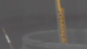 Los Barracudas de San José.