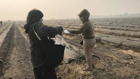 mautq-oman-masks-farm-workers-1