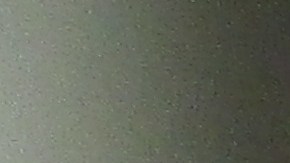 María y Canuto Medina exigen justicia por la muerte de su hijo Michael de 23 años. (Araceli Martínez/La Opinión).